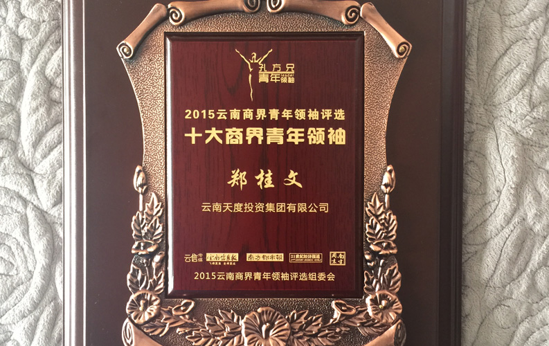 在“互聯(lián)網(wǎng)大時代”的背景下，天度作為本土很大和很有名的互聯(lián)網(wǎng)服務(wù)企業(yè)，為近萬家傳統(tǒng)企業(yè)轉(zhuǎn)型互聯(lián)網(wǎng)+提供了服務(wù)和幫助，獲此獎項后，我們將再接再厲，創(chuàng)造更高的社會價值